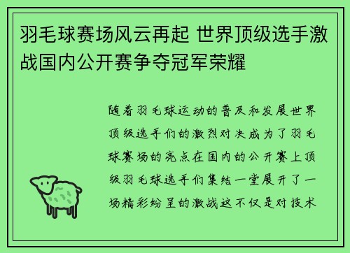 羽毛球赛场风云再起 世界顶级选手激战国内公开赛争夺冠军荣耀